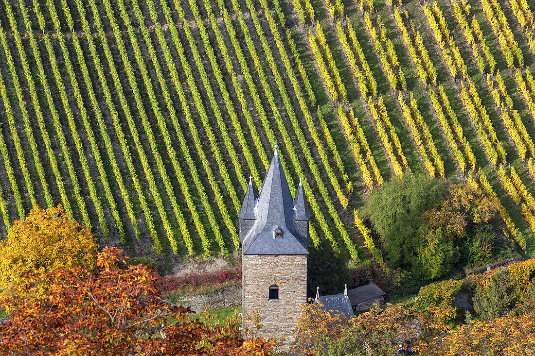 The gate Steeger Tor in town walls of Bacharach by the Rhine, Upper Middle Rhine Valley, Rheinland-Palatinate, Germany, Europe