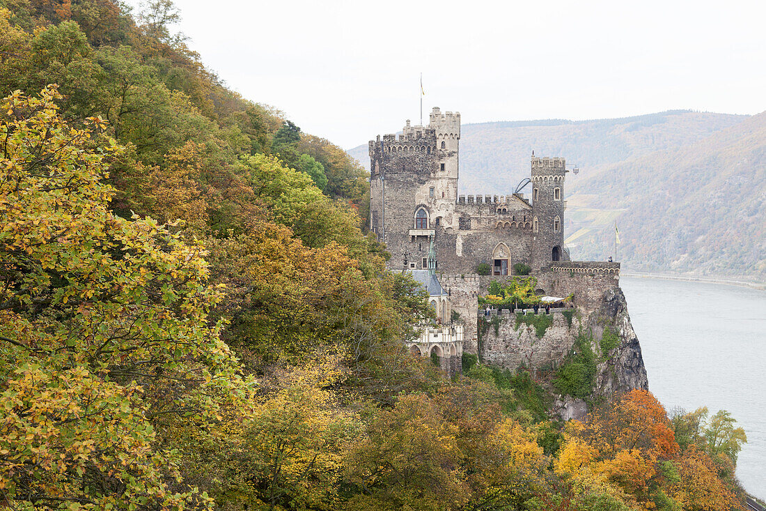 Burg Rheinstein am Rhein bei Trechtingshausen, Oberes Mittelrheintal, Rheinland-Pfalz, Deutschland, Europa