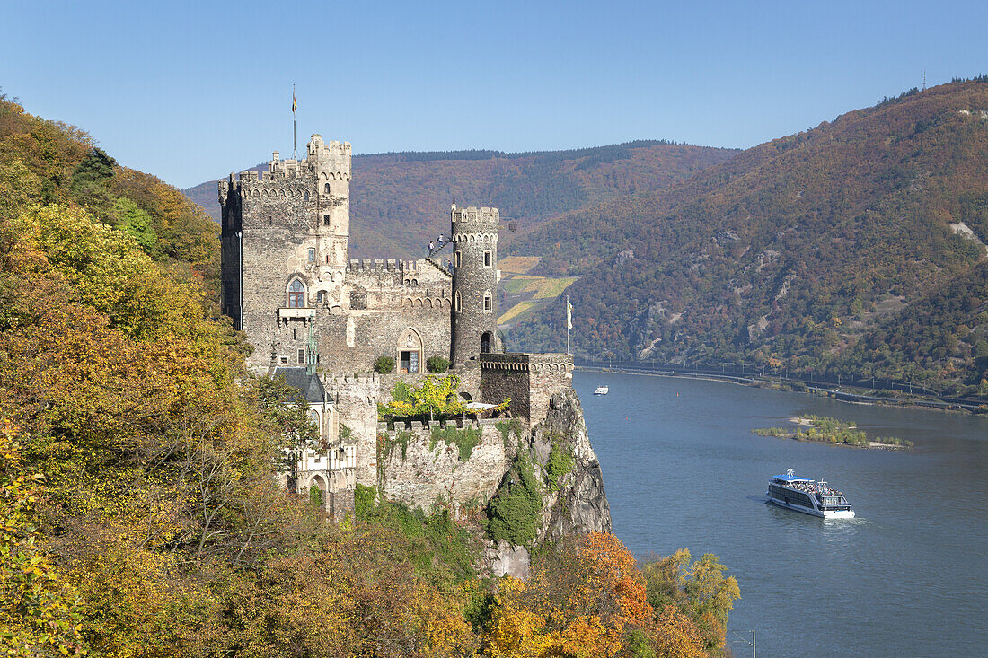 Burg Rheinstein am Rhein bei Trechtingshausen, Oberes Mittelrheintal, Rheinland-Pfalz, Deutschland, Europa