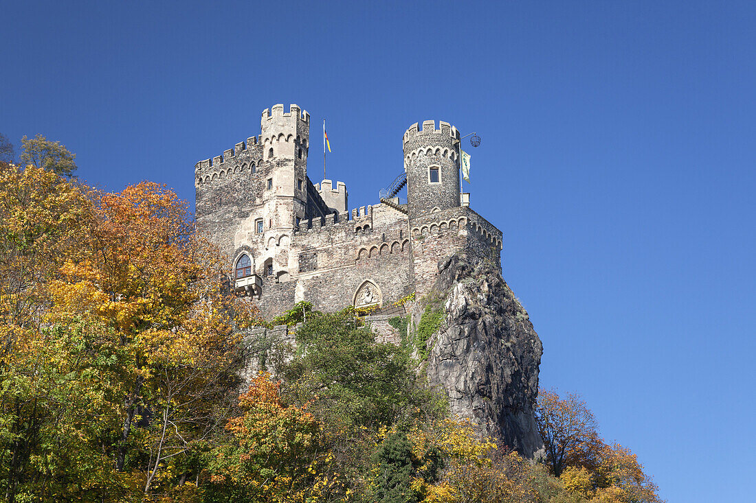 Burg Rheinstein am Rhein bei Trechtingshausen, Oberes Mittelrheintal, Rheinland-Pfalz, Deutschland, Europa