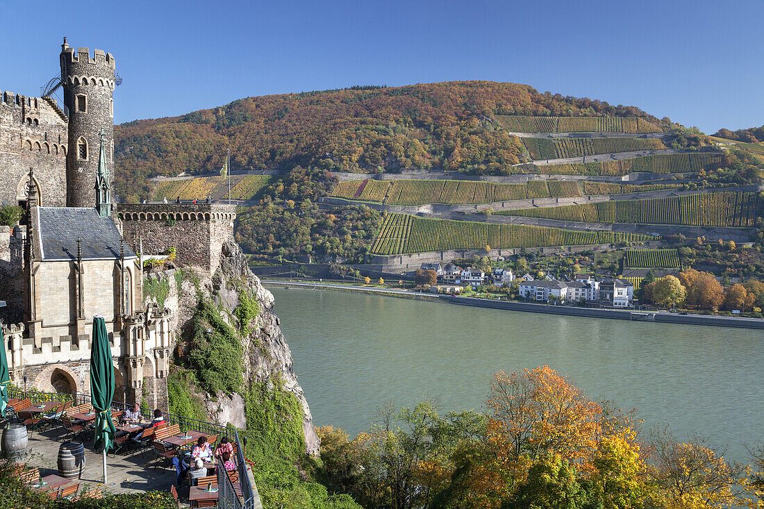 Burg Rheinstein am Rhein bei Trechtingshausen, Oberes Mittelrheintal, Rheinland-Pfalz, Deutschland, Europa