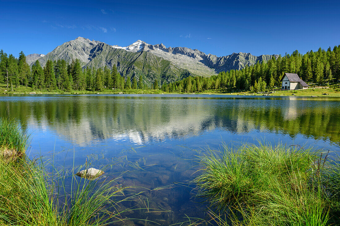 Mountain lake with chapel, Cima Presanella in background, lake lago San Giuliano, Val Genova, Adamello-Presanella Group, Trentino, Italy