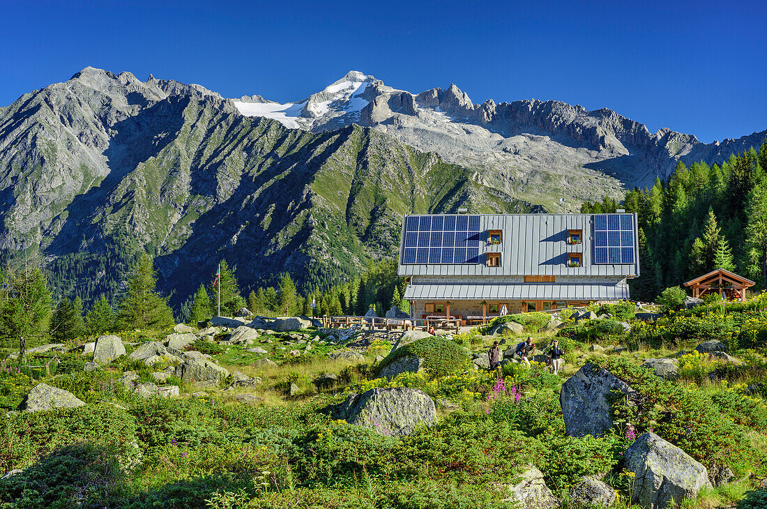 Hut rifugio San Giuliano with Cima Presanella in background, hut rifugio San Giuliano, Val Genova, Adamello-Presanella Group, Trentino, Italy