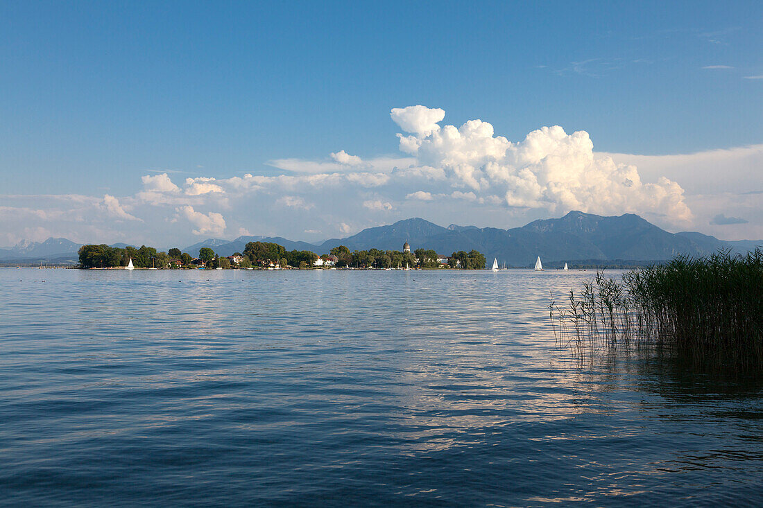 Blick über den Chiemsee zur Fraueninsel, bei Gstadt, Bayern, Deutschland