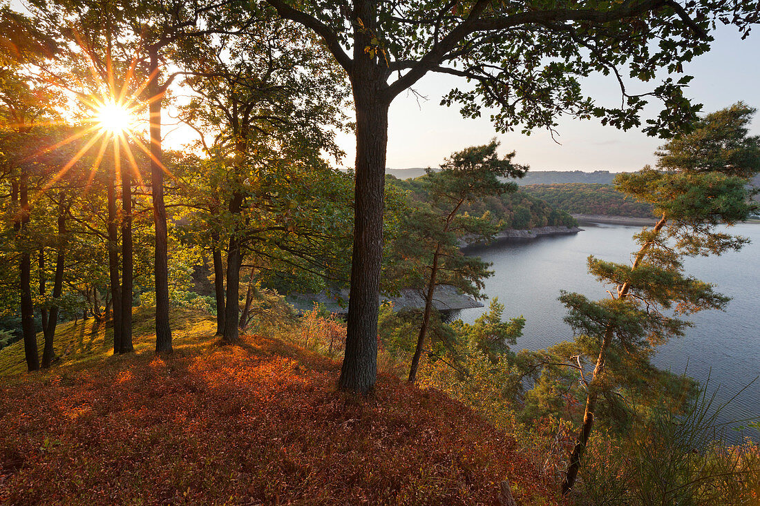 Rur-Stausee bei Heimbach, Eifelsteig, Nationalpark Eifel, Eifel, Nordrhein-Westfalen, Deutschland