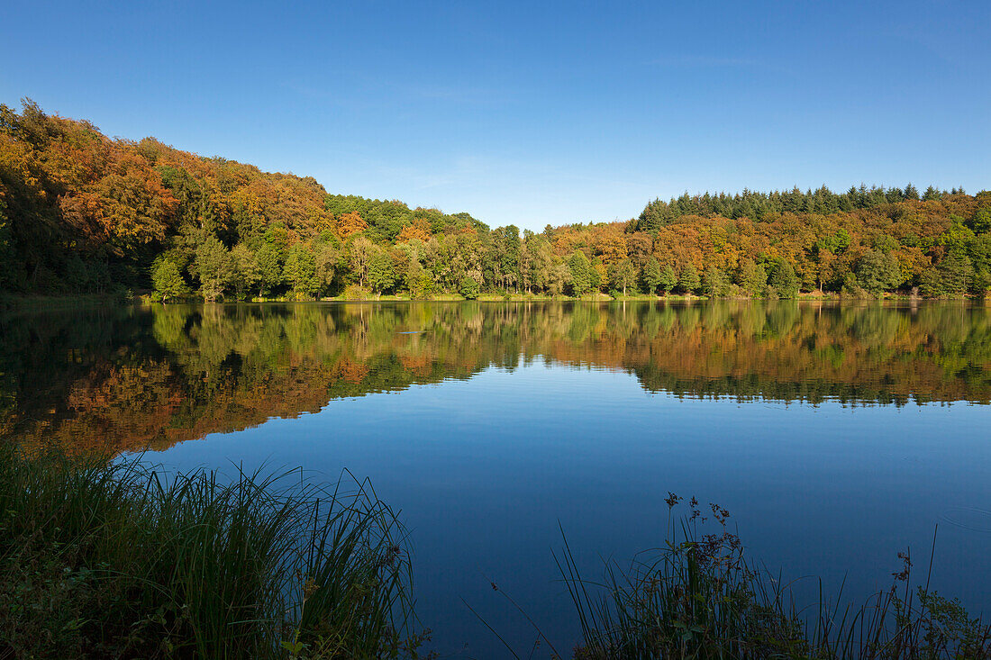 Holzmaar, bei Daun, Eifelsteig, Eifel, Rheinland-Pfalz, Deutschland