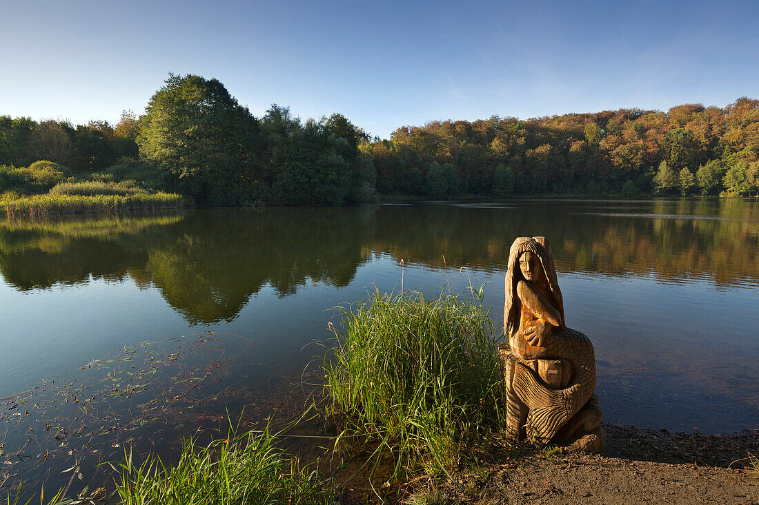 Holzmaar, near Daun, Eifelsteig hiking trail, Eifel, Rhineland-Palatinate, Germany