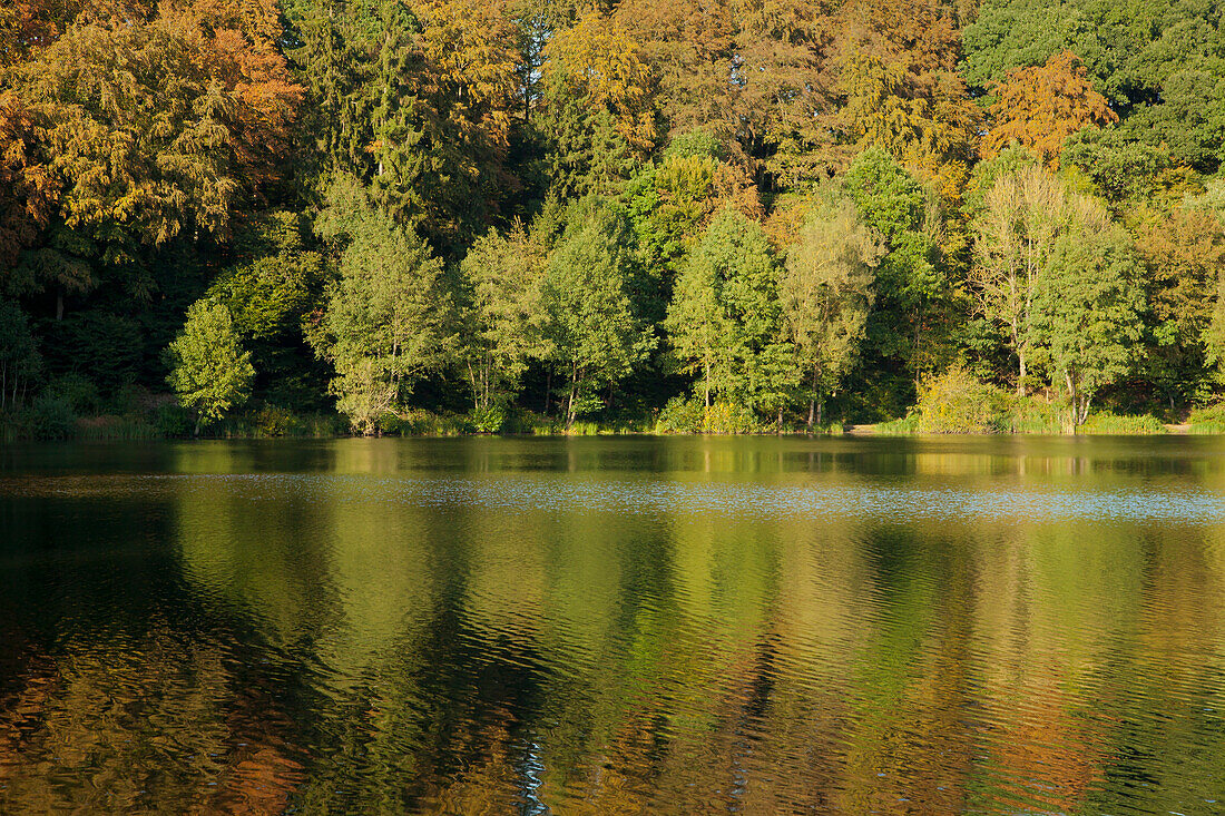 Holzmaar, near Daun, Eifelsteig hiking trail, Eifel, Rhineland-Palatinate, Germany