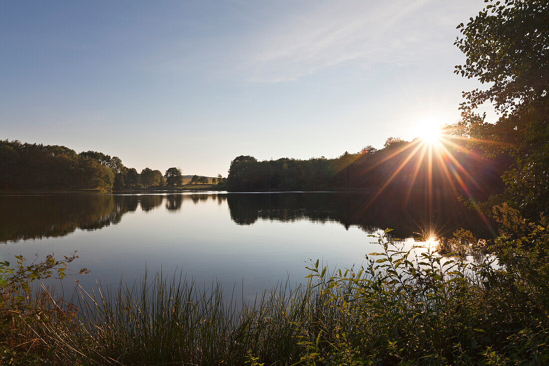 Holzmaar, bei Daun, Eifelsteig, Eifel, Rheinland-Pfalz, Deutschland