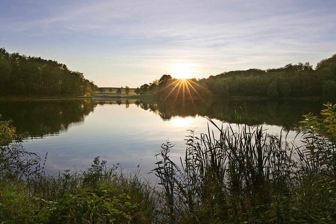 Holzmaar, near Daun, Eifelsteig hiking trail, Eifel, Rhineland-Palatinate, Germany