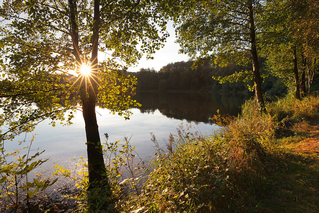 Holzmaar, near Daun, Eifelsteig hiking trail, Eifel, Rhineland-Palatinate, Germany