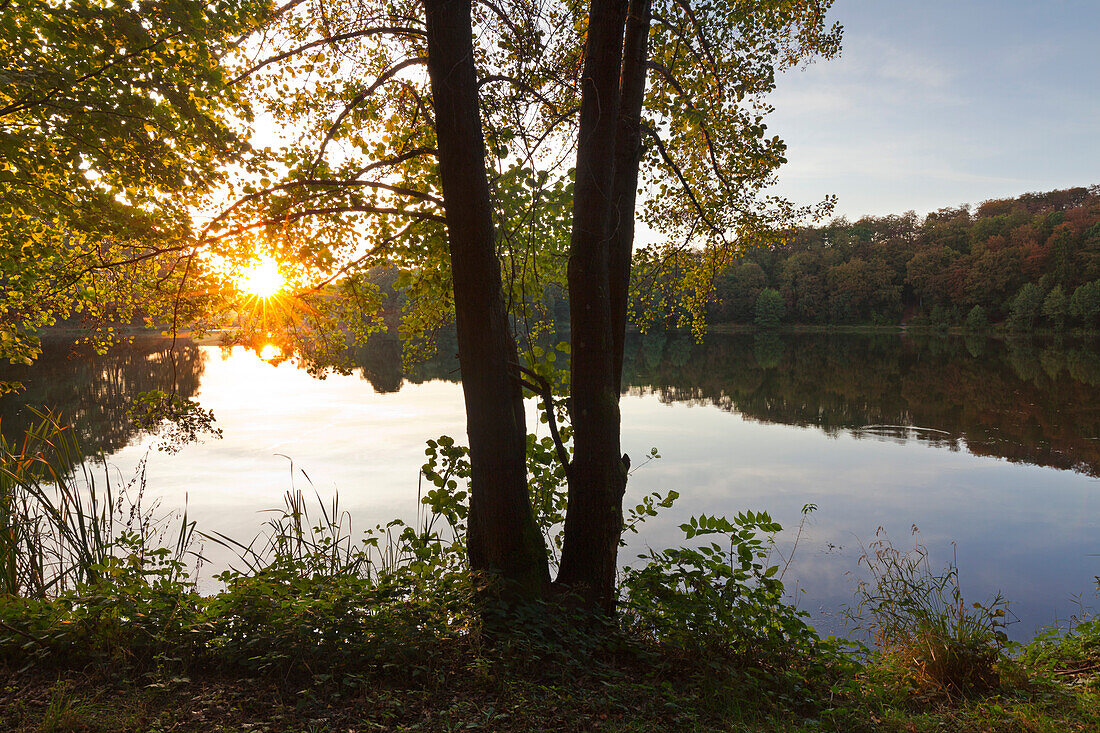 Holzmaar, near Daun, Eifelsteig hiking trail, Eifel, Rhineland-Palatinate, Germany