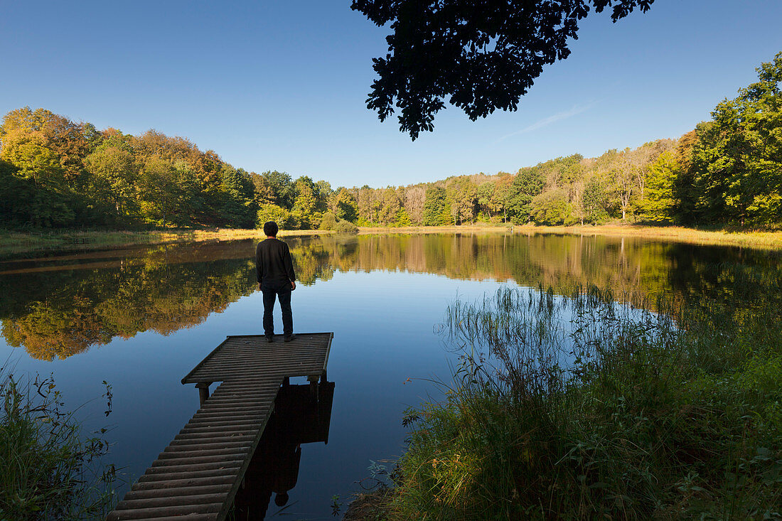 Windsborn-Bergkratersee auf dem Mosenberg, bei Bettenfeld, Eifelsteig, Eifel, Rheinland-Pfalz, Deutschland