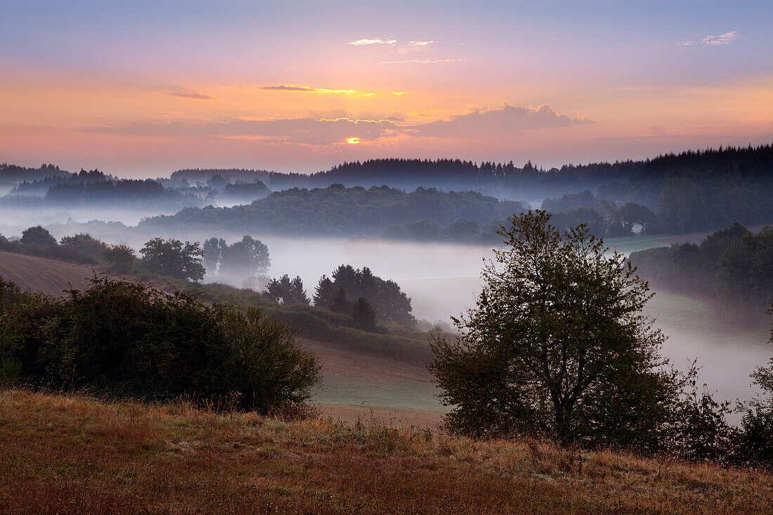 Morgennebel, Eifelsteig, Eifel, Rheinland-Pfalz, Deutschland