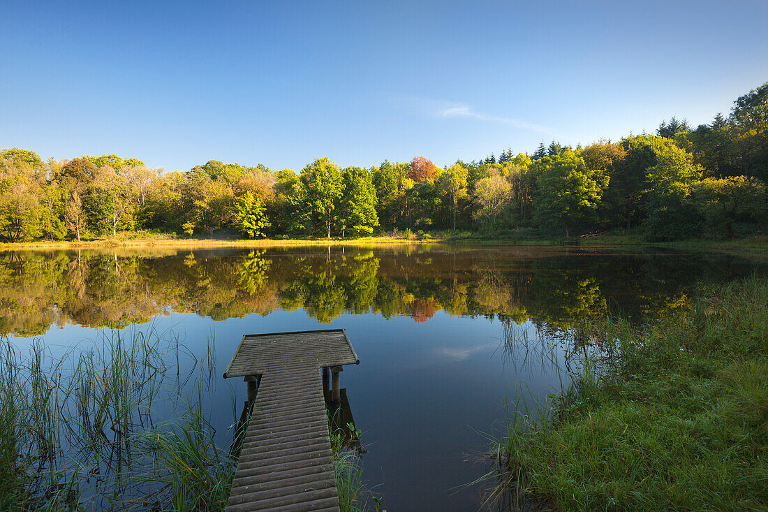 Windsborn-Bergkratersee auf dem Mosenberg, bei Bettenfeld, Eifelsteig, Eifel, Rheinland-Pfalz, Deutschland