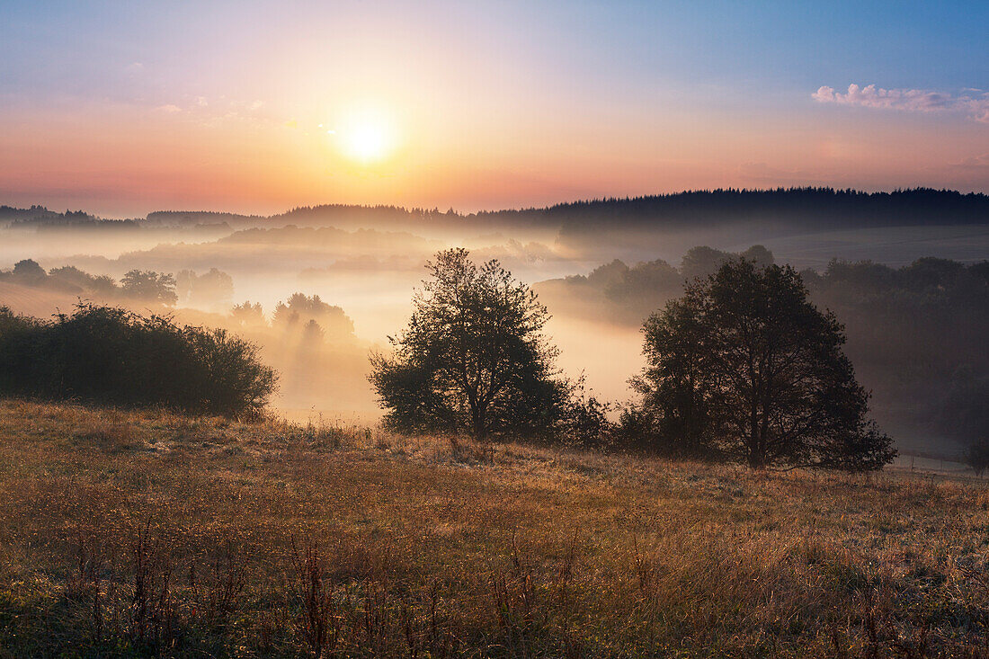 Morgennebel, Eifelsteig, Eifel, Rheinland-Pfalz, Deutschland