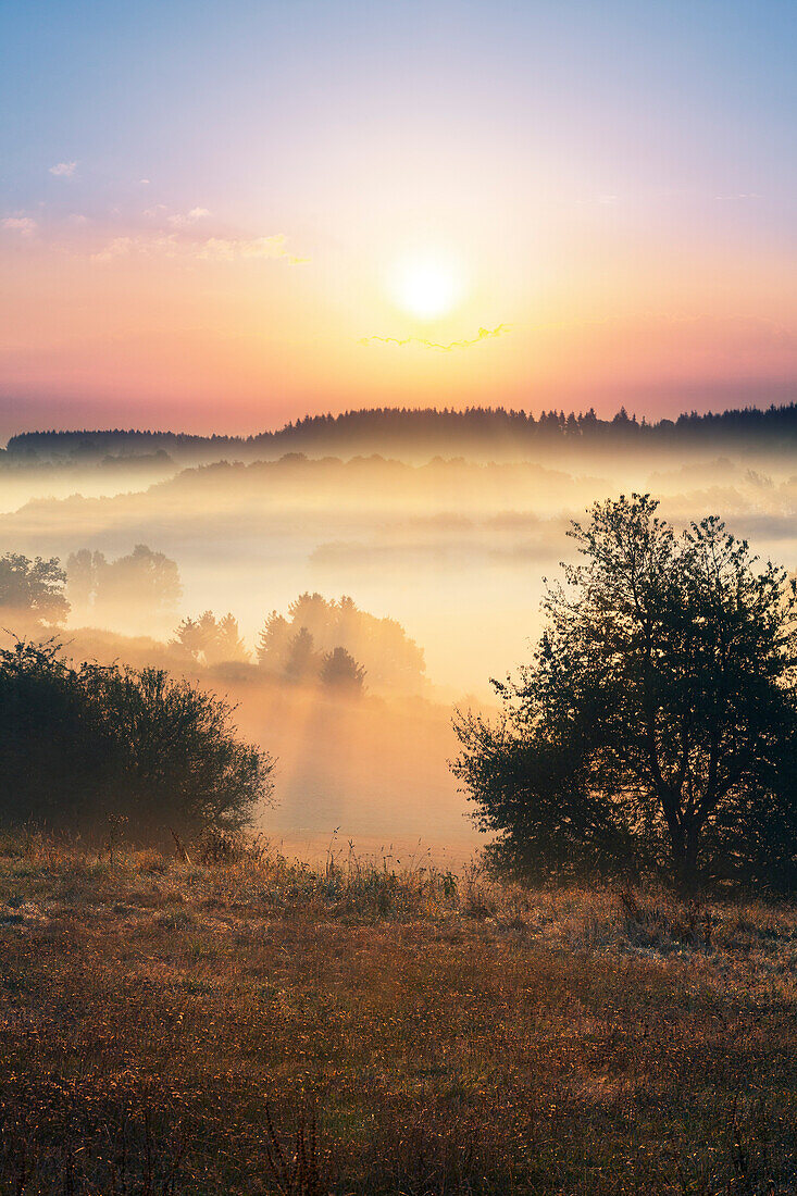 Morgennebel, Eifelsteig, Eifel, Rheinland-Pfalz, Deutschland