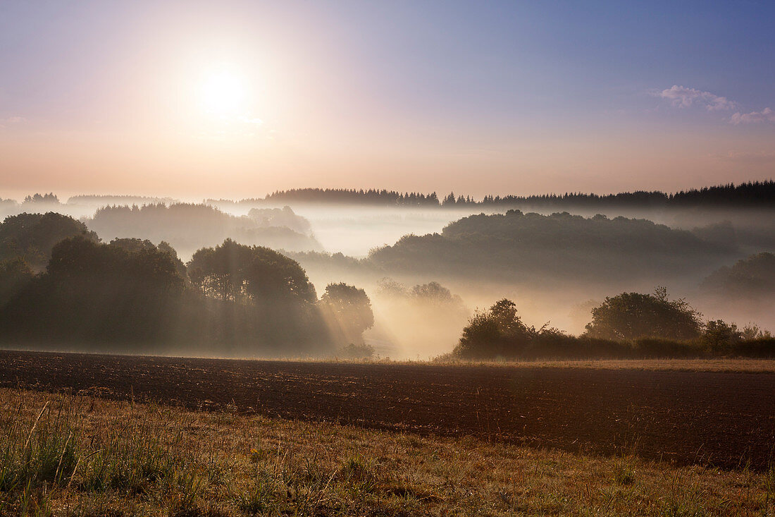 Morgennebel, Eifelsteig, Eifel, Rheinland-Pfalz, Deutschland