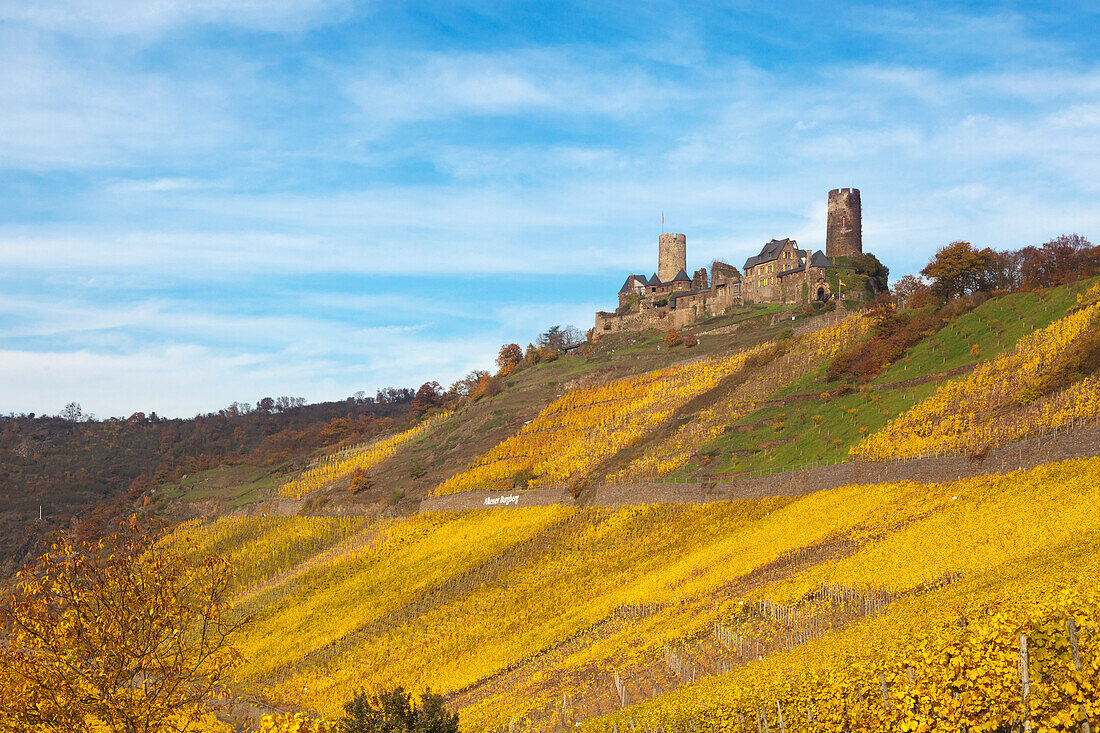 Thurant castle, near Alken, Mosel, Rhineland-Palatinate, Germany