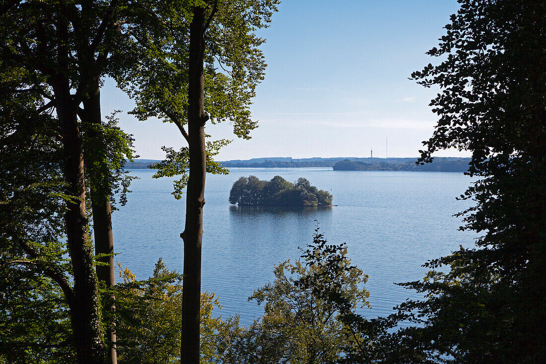 Insel im Schweriner See, Mecklenburgische Seenplatte, Mecklenburg-Vorpommern, Deutschland