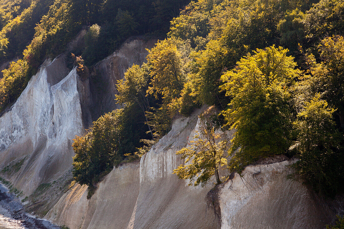 Chalk cliffs, Jasmund national park, Ruegen, Baltic Sea, Mecklenburg-West Pomerania, Germany