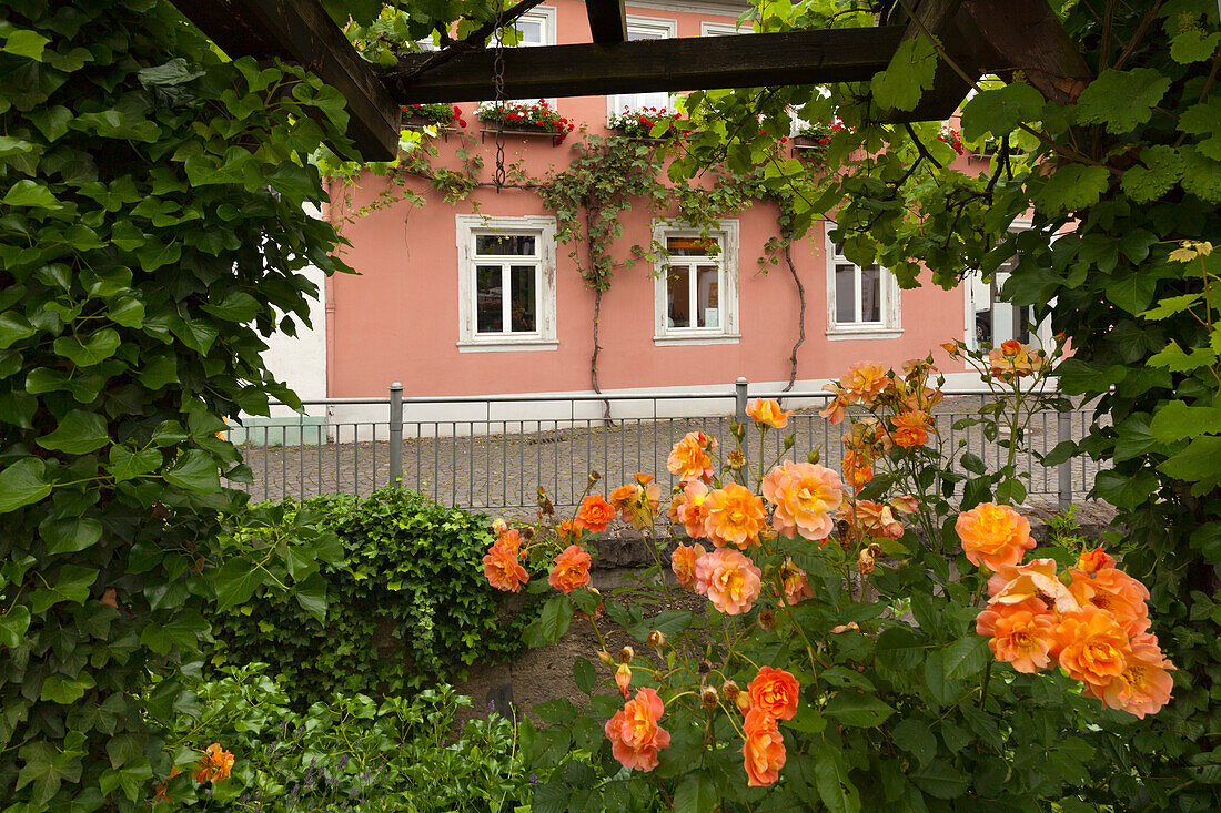 Vintner house, Bacharach, Rhine river, Rhineland-Palatinate, Germany