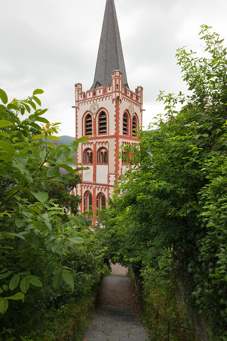 St. Peters church, Bacharach, Rhine river, Rhineland-Palatinate, Germany