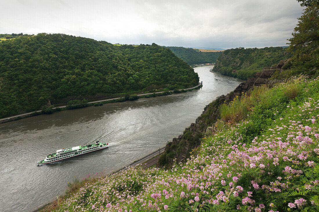 Ausflugsschiff auf dem Rhein, Blick vom Rheinsteig zur Loreley, bei Sankt Goarshausen, Rhein, Rheinland-Pfalz, Deutschland