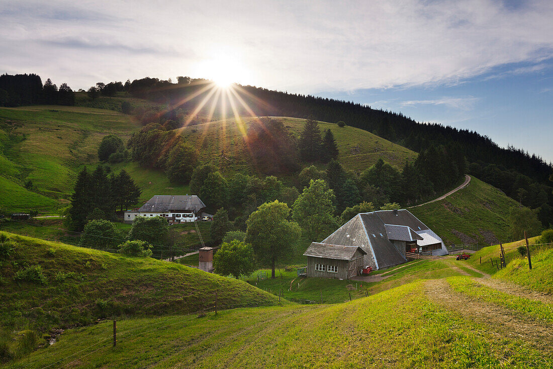 Schwarzwaldhöfe, Münstertal, Südlicher Schwarzwald, Baden-Württemberg, Deutschland