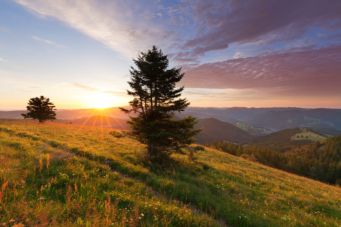 Morning mood at Belchen, Black Forest, Baden-Wuerttemberg, Germany