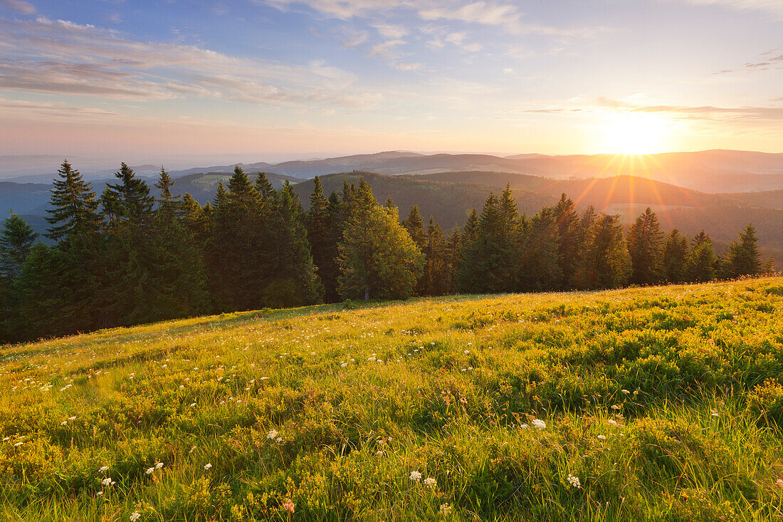 Morgenstimmung am Belchen, Südlicher Schwarzwald, Baden-Württemberg, Deutschland