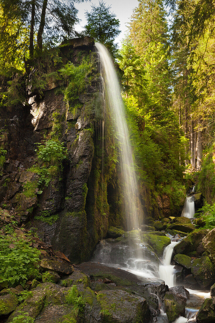 Wasserfall bei Menzenschwand, Südlicher Schwarzwald, Baden-Württemberg, Deutschland