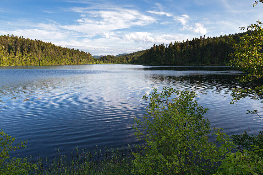 Windgfällweiher nahe Schluchsee, Südlicher Schwarzwald, Baden-Württemberg, Deutschland