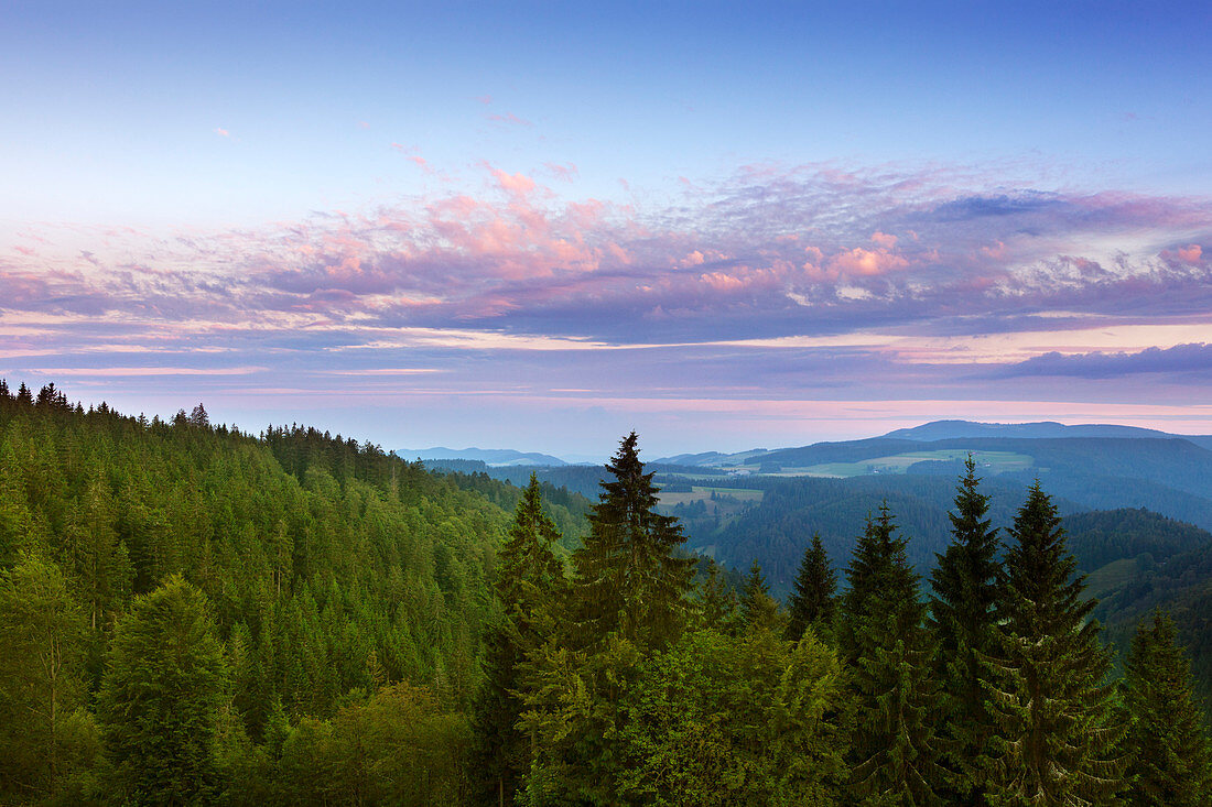 Blick von der Schwarzwaldpanoramastraße, Südlicher Schwarzwald, Baden-Württemberg, Deutschland