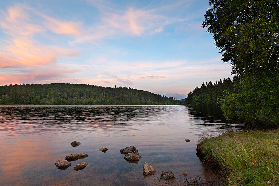 Windgfällweiher nahe Schluchsee, Südlicher Schwarzwald, Baden-Württemberg, Deutschland