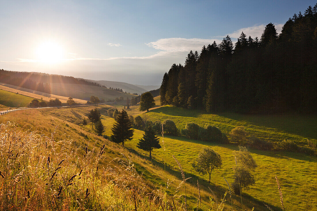 Blick von der Schwarzwaldpanoramastraße ins Urachtal, Südlicher Schwarzwald, Baden-Württemberg, Deutschland