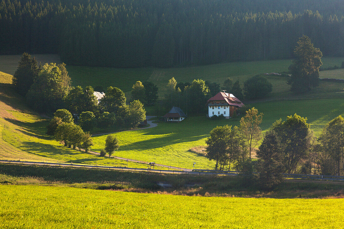 Farmhouses in Jostal valley, Black Forest, Baden-Wuerttemberg, Germany