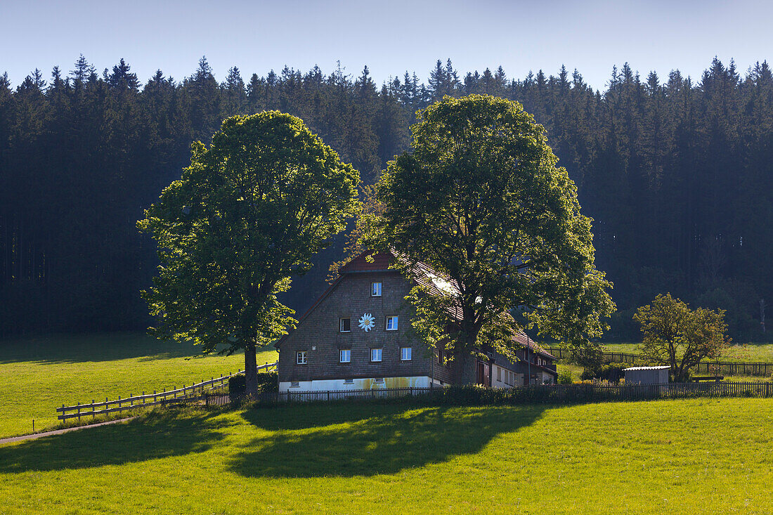Farmhouse near Breitnau, Black Forest, Baden-Wuerttemberg, Germany