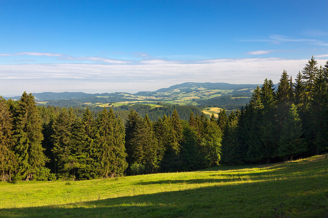 Blick von der Schwarzwaldpanoramastraße, Südlicher Schwarzwald, Baden-Württemberg, Deutschland