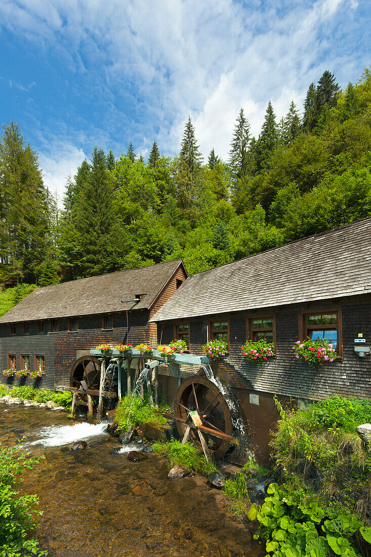 Hexenloch mill, Black Forest, Baden-Wuerttemberg, Germany