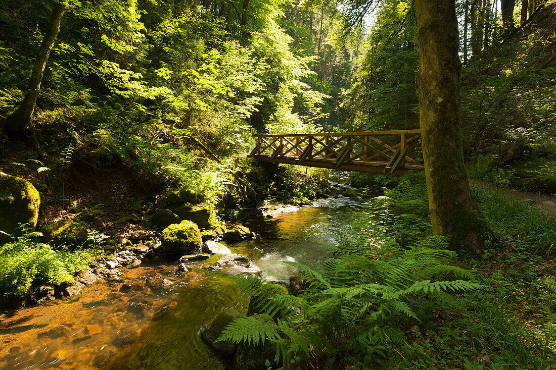 Ravennaschlucht, Black Forest, Baden-Wuerttemberg, Germany