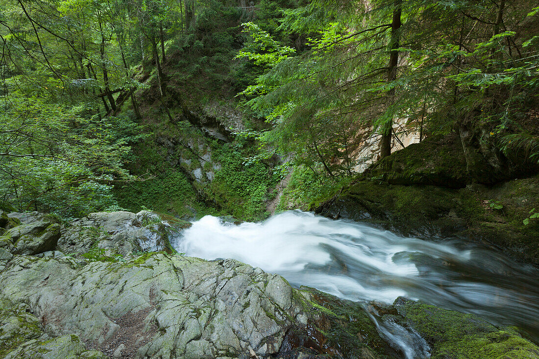 Ravennaschlucht, Black Forest, Baden-Wuerttemberg, Germany