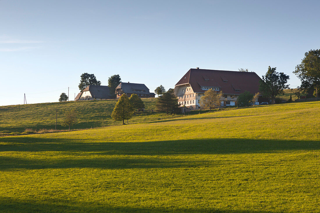 Farmhouses along the Black Forest Panoramic Road near Breitnau, Black Forest, Baden-Wuerttemberg, Germany