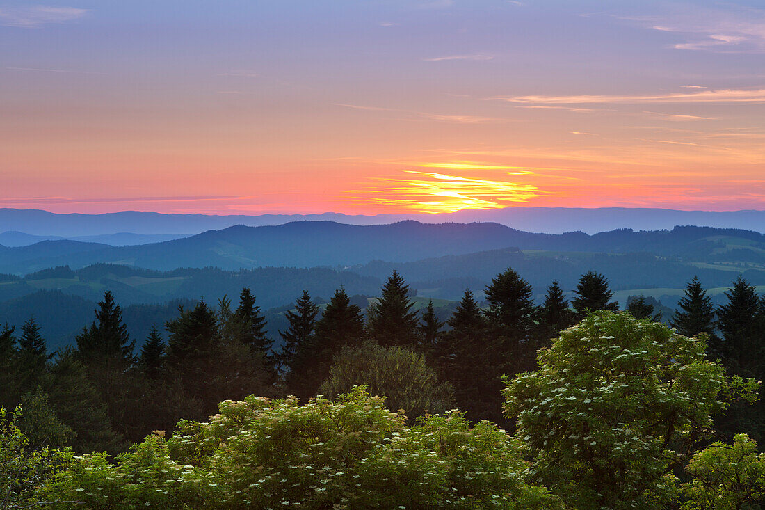 Blick von der Schwarzwaldpanoramastraße, Südlicher Schwarzwald, Baden-Württemberg, Deutschland