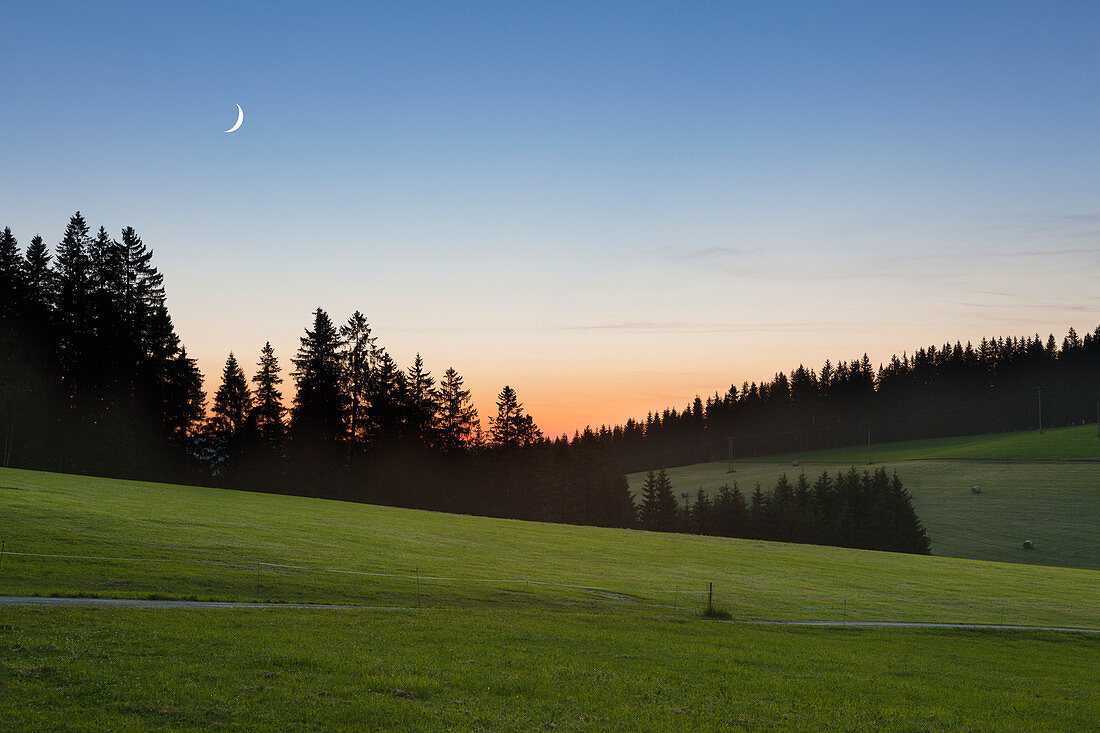 Blick von der Schwarzwaldpanoramastraße, Südlicher Schwarzwald, Baden-Württemberg, Deutschland