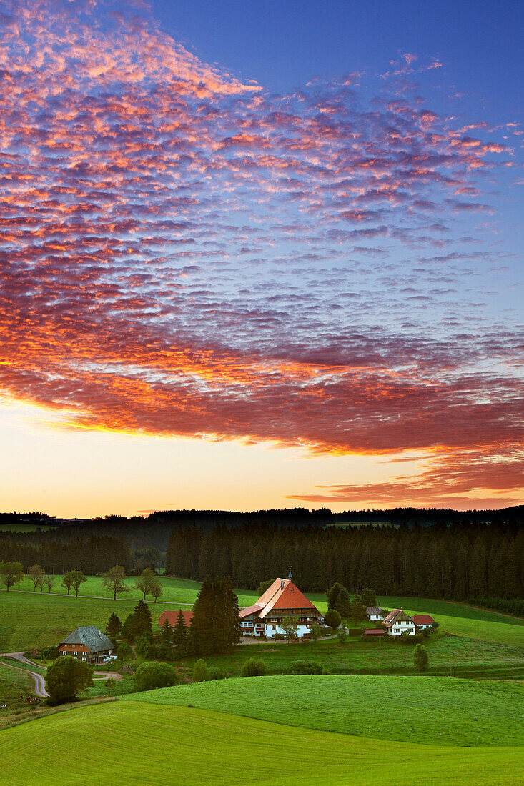 Schwarzwaldhof bei Gütenbach, Südlicher Schwarzwald, Baden-Württemberg, Deutschland