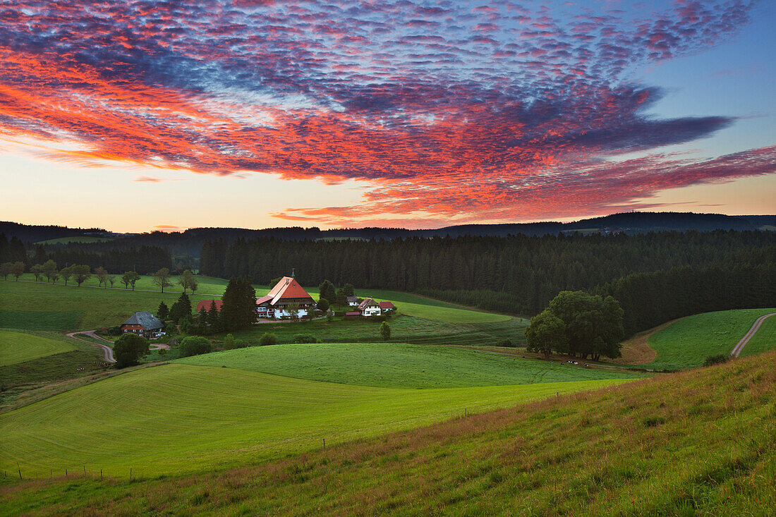 Schwarzwaldhof bei Gütenbach, Südlicher Schwarzwald, Baden-Württemberg, Deutschland