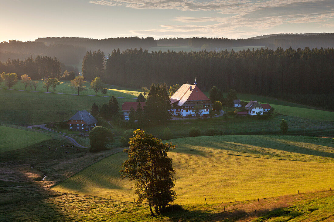 Farmhouse near Guetenbach, Black Forest, Baden-Wuerttemberg, Germany