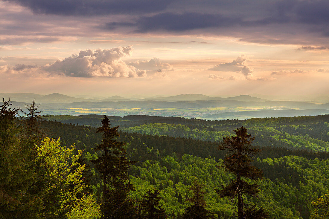 Blick vom Großen Inselsberg auf die Bergrücken des Thüringer Waldes, Thüringen, Deutschland