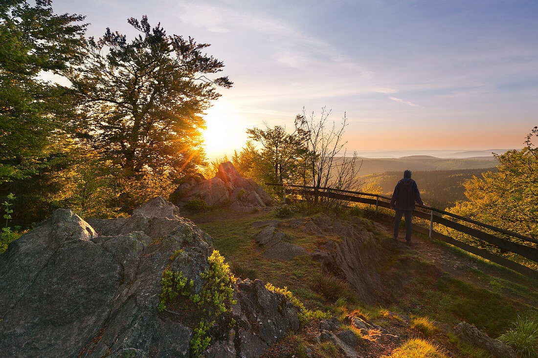 Wanderer blickt vom Großen Inselsberg auf die Bergrücken des Thüringer Waldes, Thüringen, Deutschland